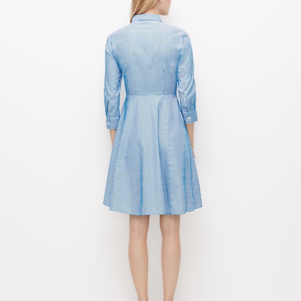 Ann Taylor Striped Shirt Dress - Picture 3 of 6